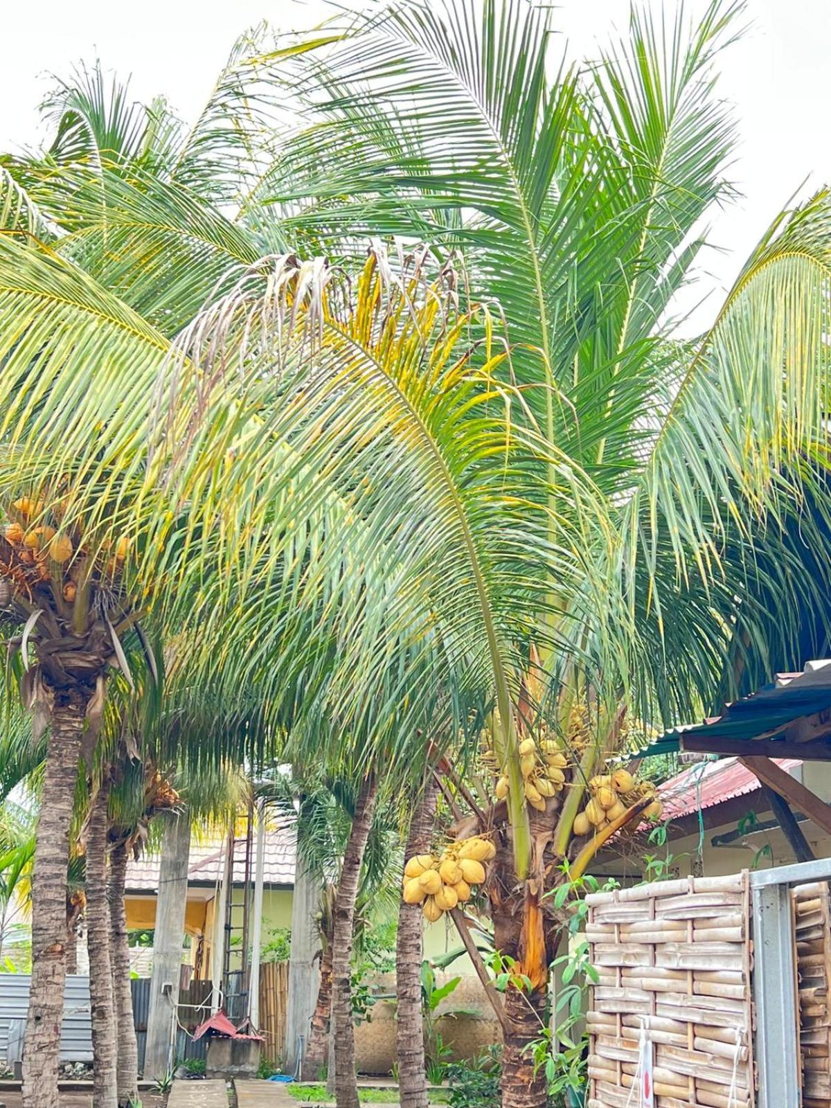 Bias Bungalows Gili Air Zewnętrze zdjęcie