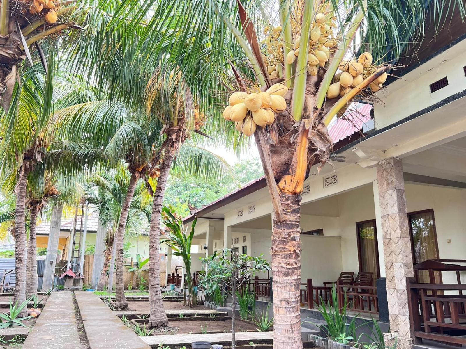 Bias Bungalows Gili Air Zewnętrze zdjęcie